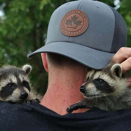 Person wearing a trucker hat with a leather patch, holding two raccoons outdoors.